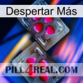 Despertar Más 15